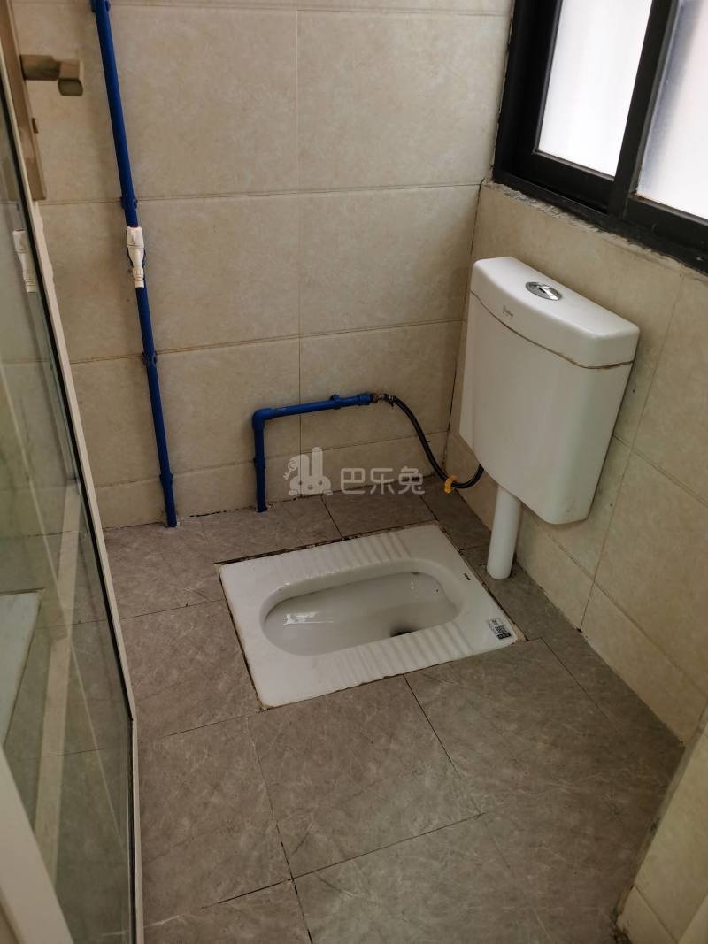 江夏村东一街九巷4号6182786卫生间图5
