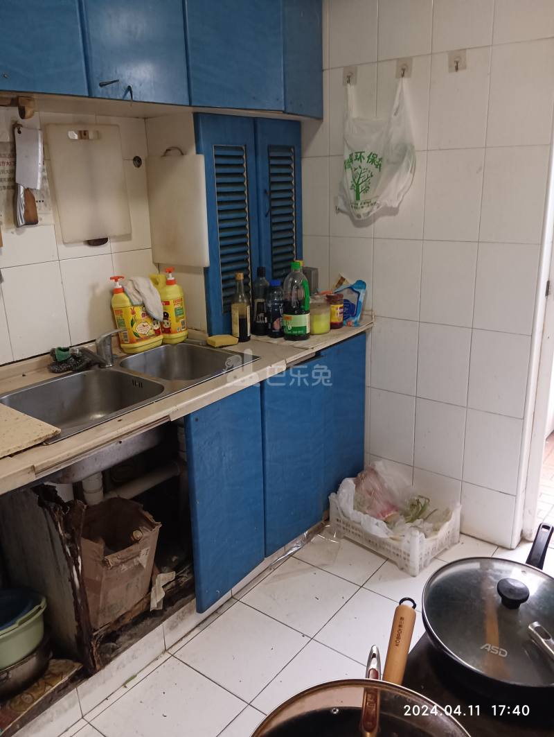 飘鹰东方花园6228560厨房图8