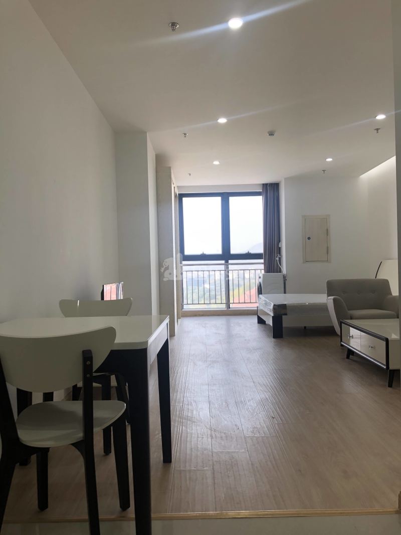 龙湖冠寓南京中国药科大学站店6238696客厅图5