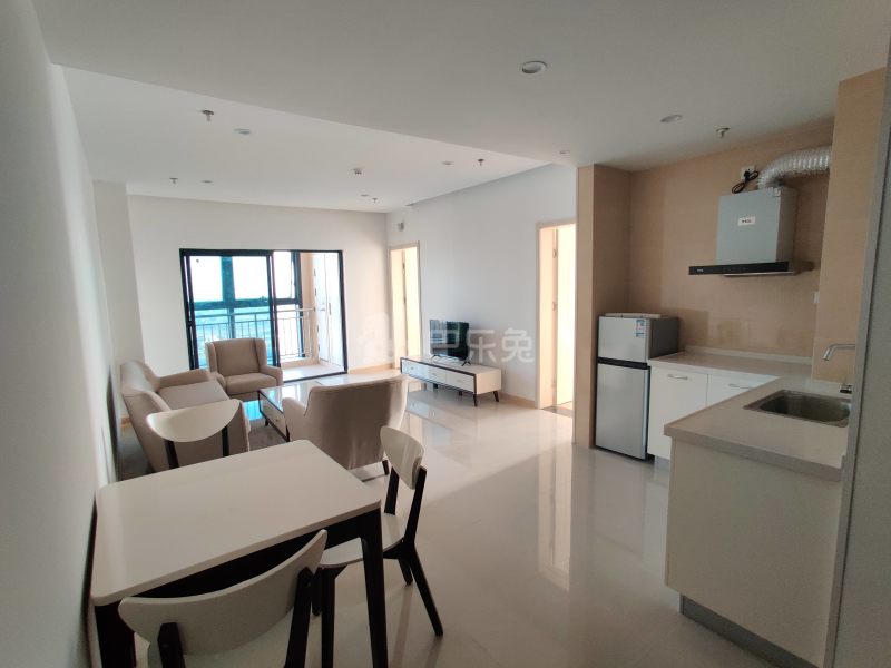 龙湖冠寓南京中国药科大学站店6238701客厅图10