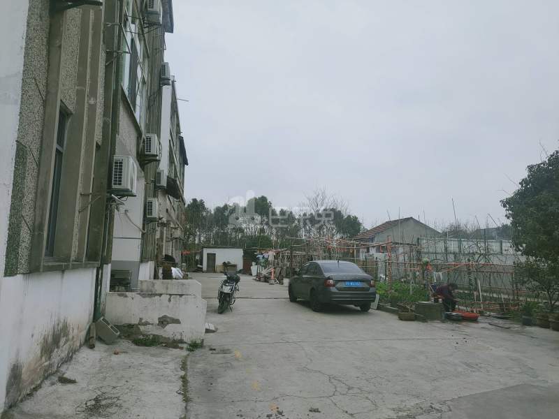 川沙新春村黄家宅（民房）6411373周边环境图4