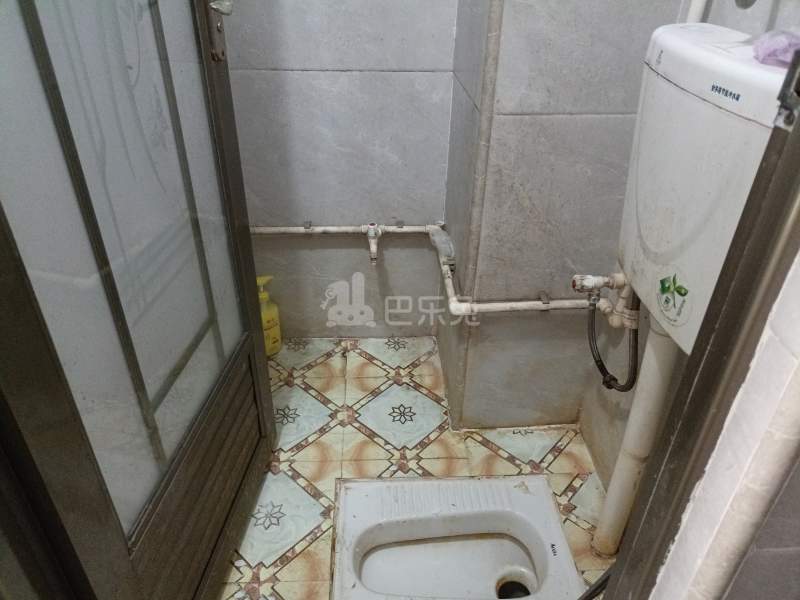 桃花园（南山大道）6494840卫生间图4