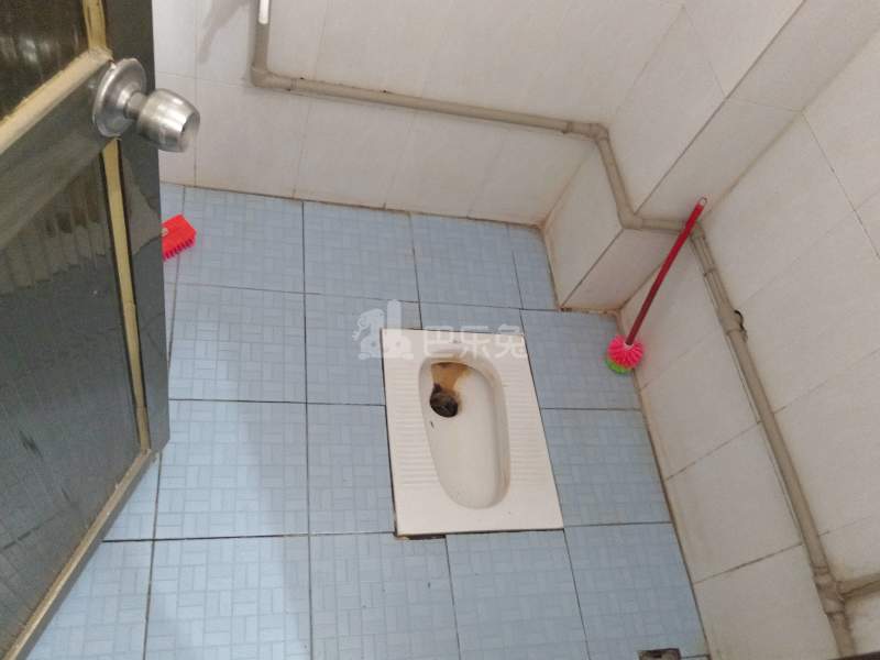 山子街9号6557967卫生间图11