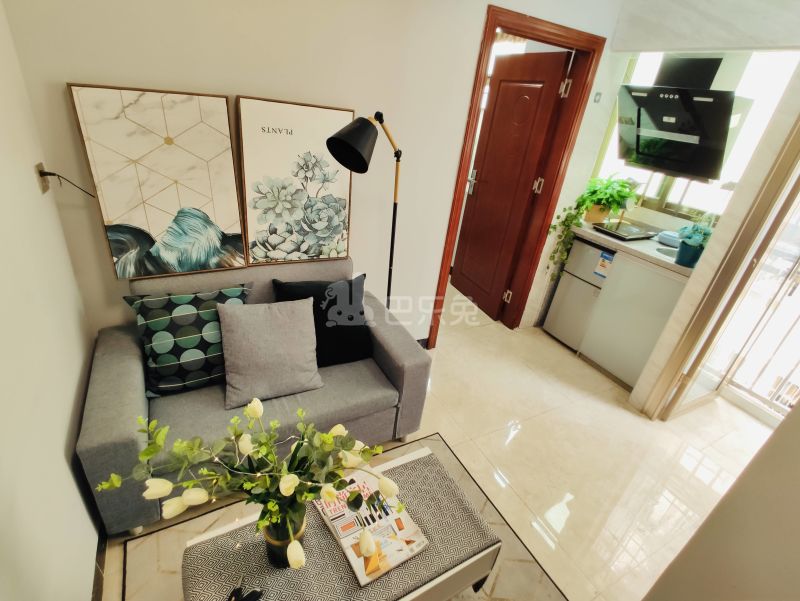 庭苑公寓（灵芝店）6567783客厅图4