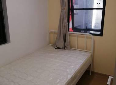 泊寓布吉大芬黄金公社 2室1厅1卫