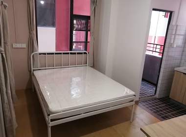 泊寓布吉大芬黄金公社 1室0厅1卫