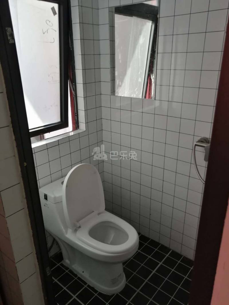 泊寓布吉大芬黄金公社6580655卫生间图4