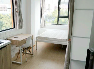 泊寓布吉大芬黄金公社 1室0厅1卫