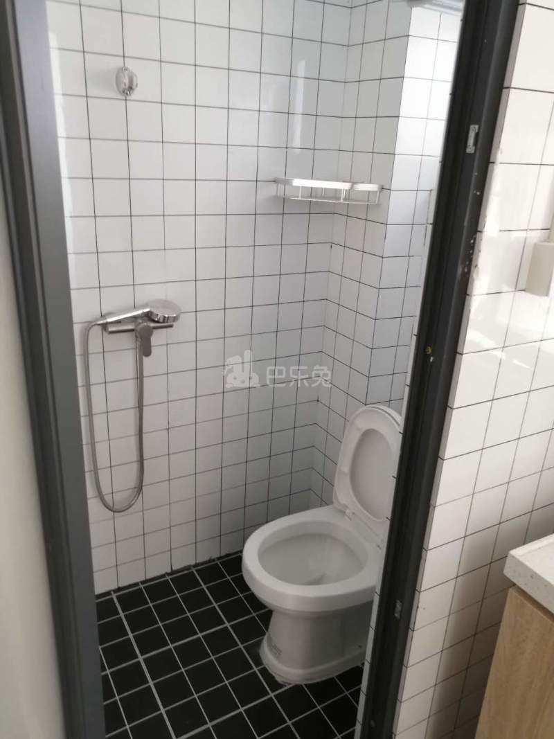 泊寓布吉大芬黄金公社6580792卫生间图3