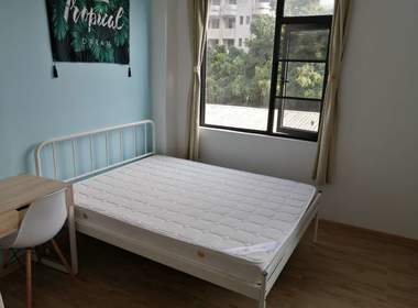 泊寓布吉大芬黄金公社 1室0厅1卫