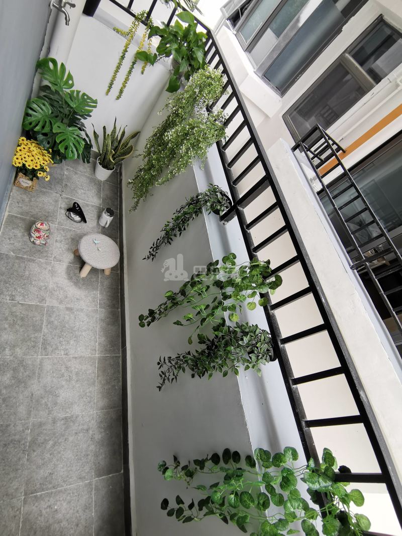 泊寓清林径公社6587356周边环境图10