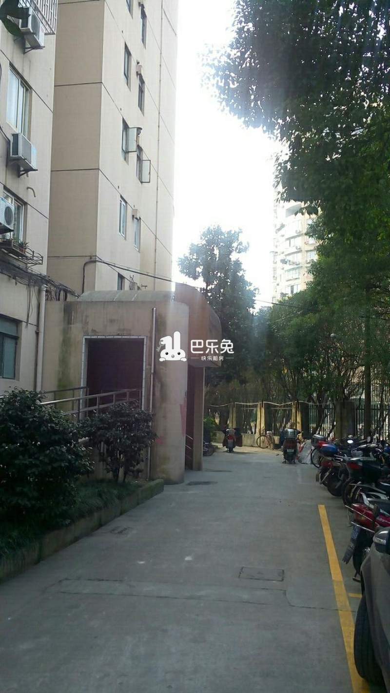 上海闵行_梅陇八村_1室1厅1卫_整租_龙州路嘉川路