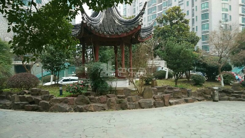 九亭明珠苑（虬泾路99弄）2591184周边环境图6