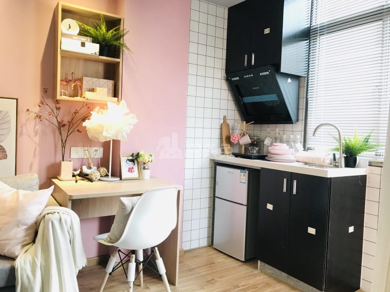 庭苑公寓（柠檬草店）6729547周边环境图8