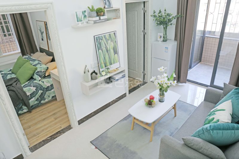 庭苑公寓（山荷店）6729722客厅图4