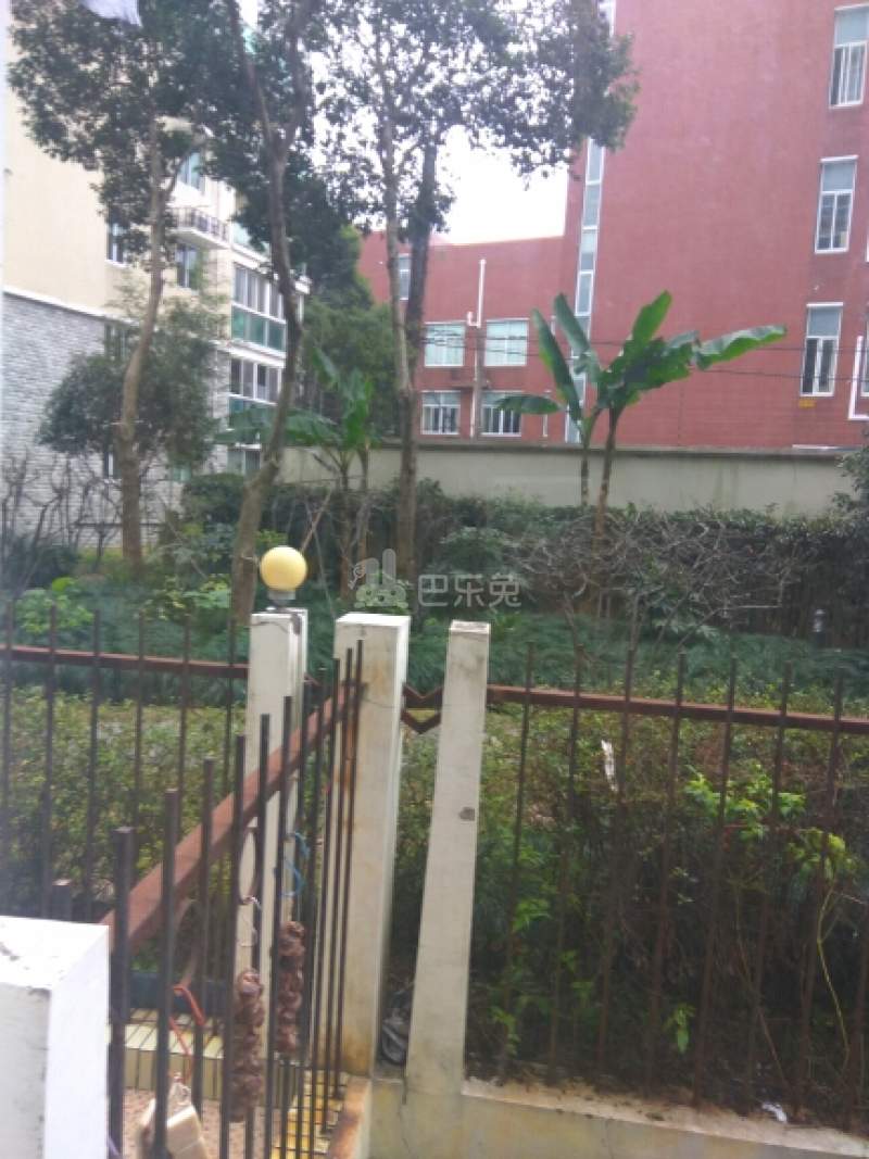 书香公寓（小区）12374988周边环境图4