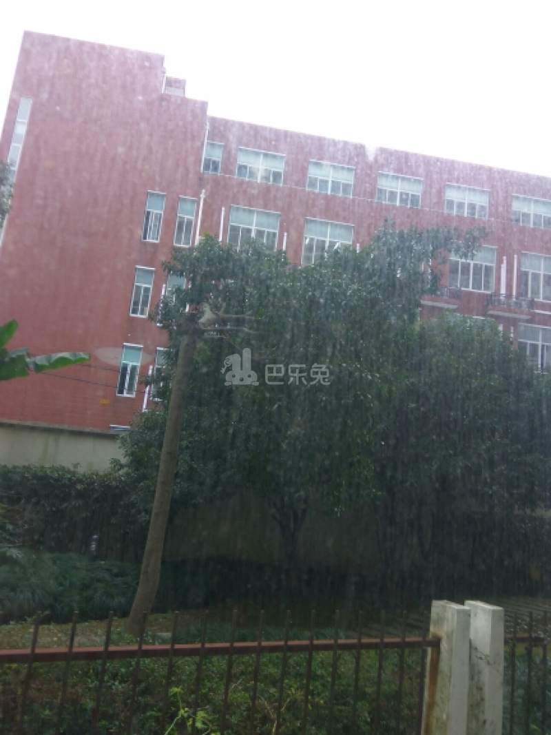 书香公寓（小区）12374988周边环境图3