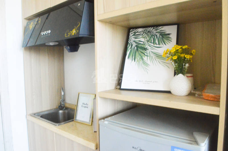 E+青年公寓凤凰西街6771709周边环境图4