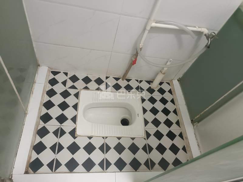 田厦统建楼6813871卫生间图4