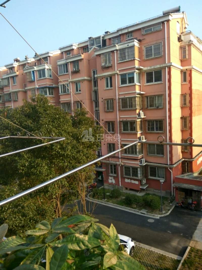 颛溪十村17096572周边环境图5