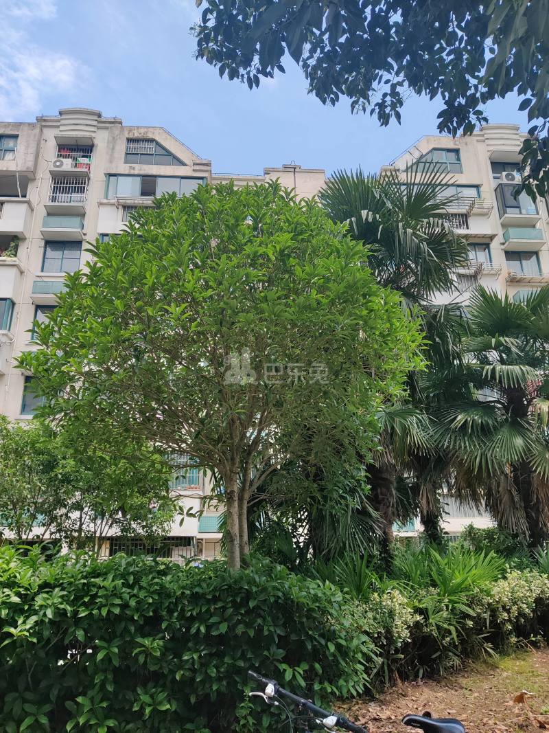 紫翠苑6916189周边环境图8