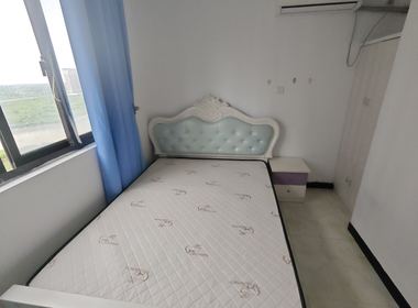 妙虹新苑 3室1厅1卫