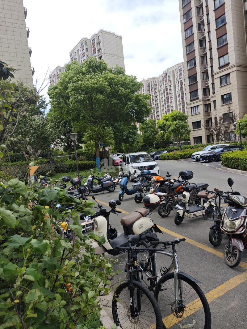 妙虹新苑6973279周边环境图18