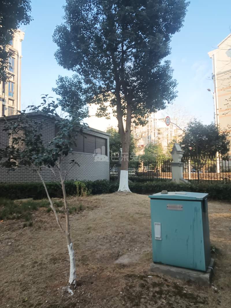 庐秀新苑西区（南埭路185弄）7053425周边环境图6