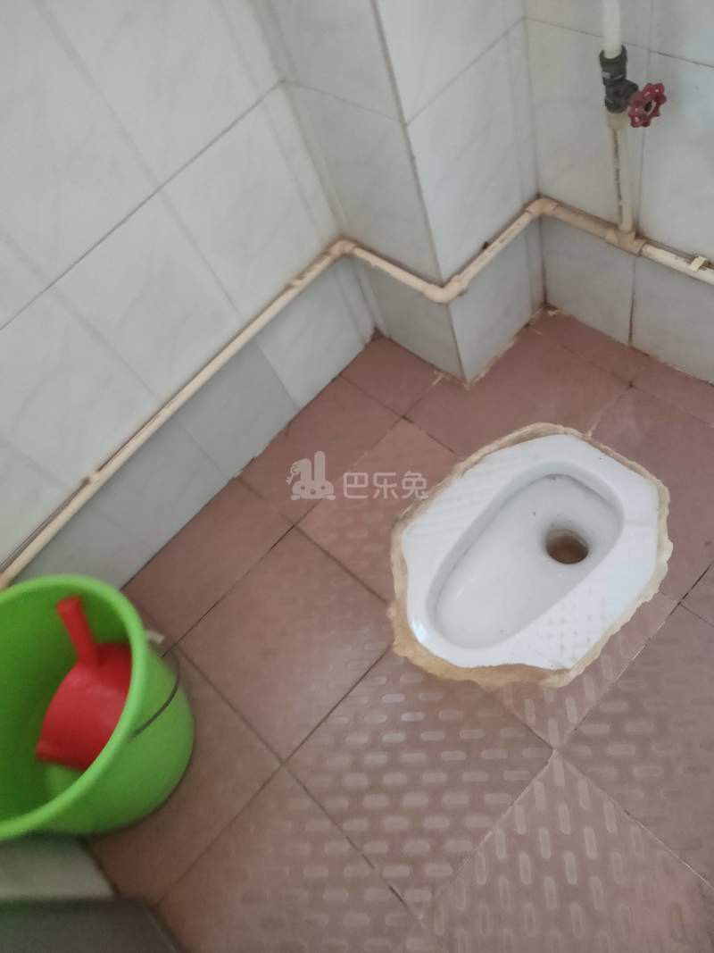 南园村7069049卫生间图5