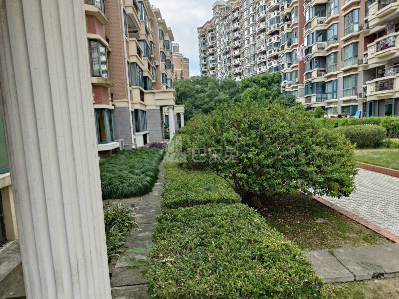 上海欣苑西班牙名园7084051周边环境图14