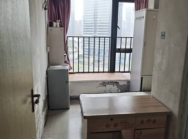 第5大道高发西岸花园 