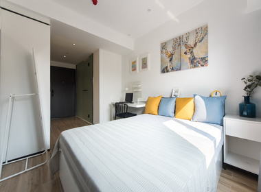 城家公寓深圳宝安中心店 1室0厅1卫