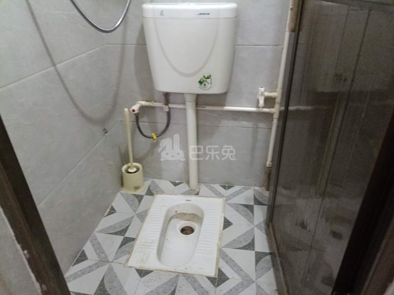 桃花园（南山大道）7127202卫生间图5