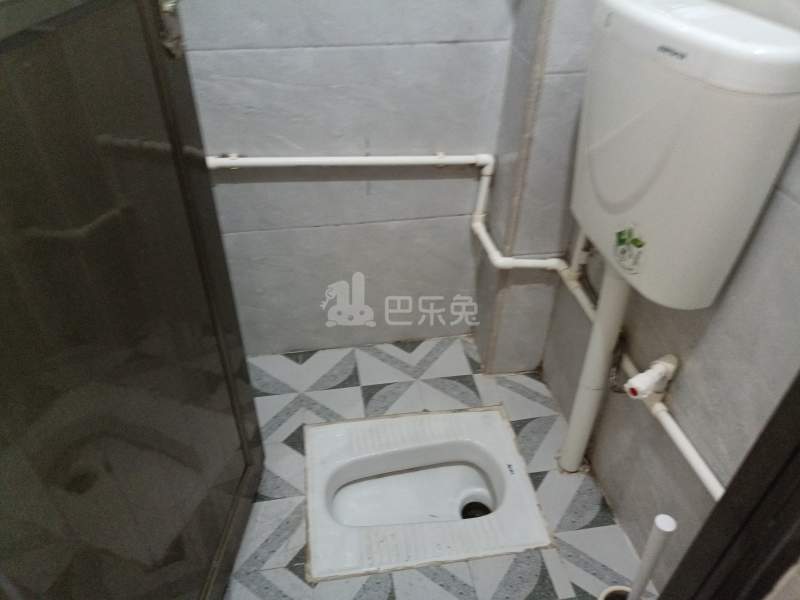 桃花园（南山大道）7127207卫生间图5