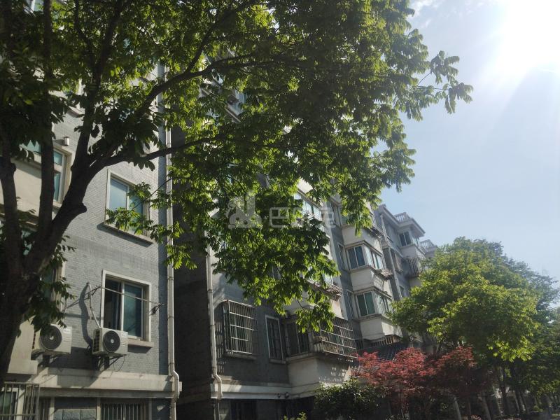 友谊家园东区7195808周边环境图7