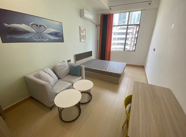 棠溪祥岗新街4号 1室0厅1卫