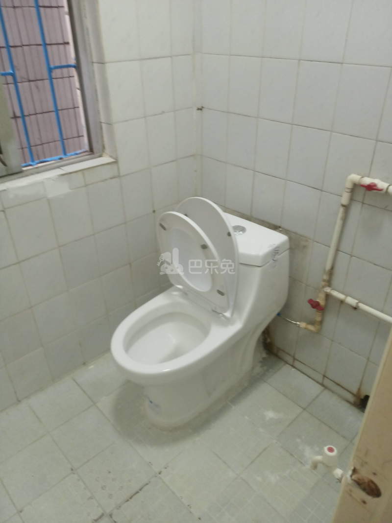 岗厦村东三坊7288573卫生间图6