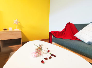 E+青年公寓鹿怡店 1室1厅1卫