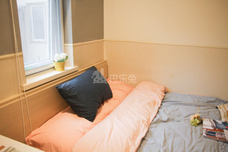 E+青年公寓红庙店7325031卧室图3