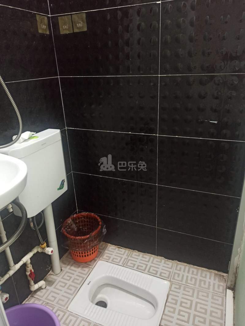 松坪山科苑新区7328759卫生间图4