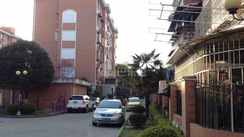 新虹园小区2435537周边环境图11