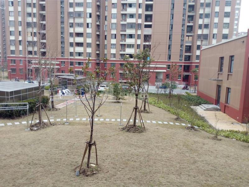 申城佳苑二期A块754212周边环境图7