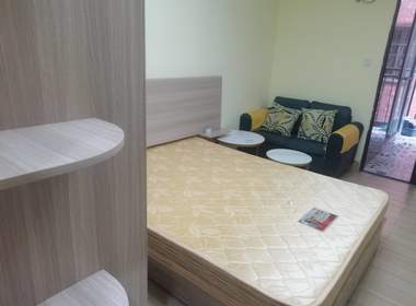 大石大山村富山路16号 