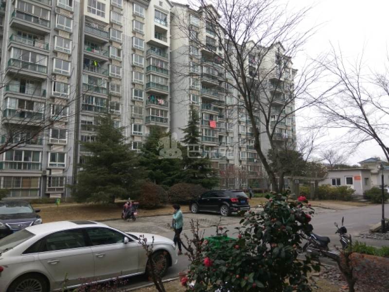 新汇绿苑二村5970180周边环境图0