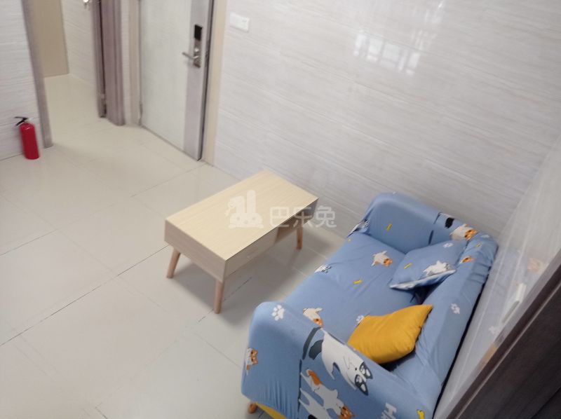 鹤边员村东街东五巷13号7580341客厅图8