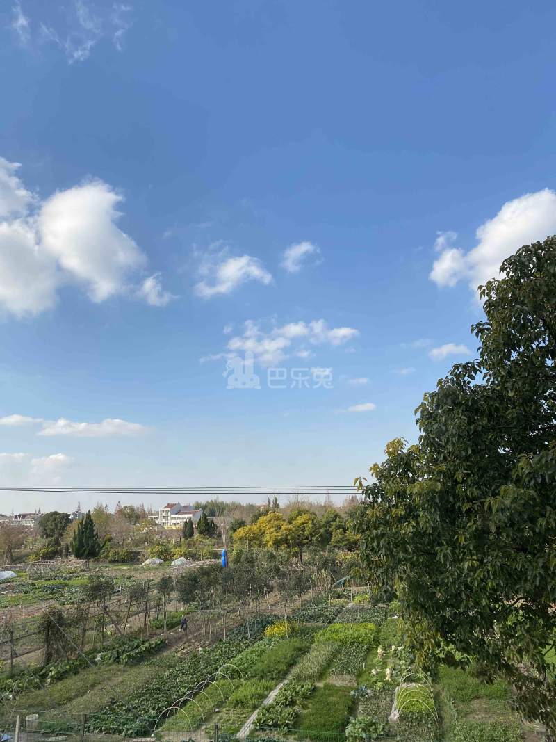 祝西村7599218周边环境图8