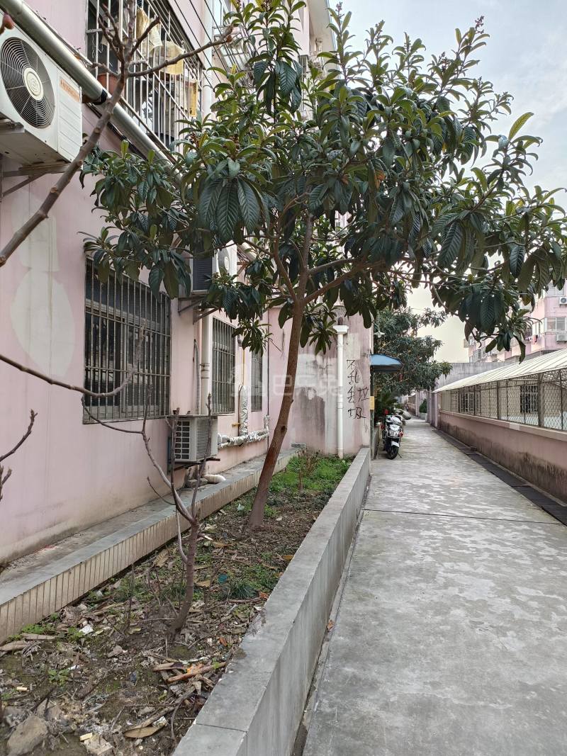 欣周花园7643796周边环境图9