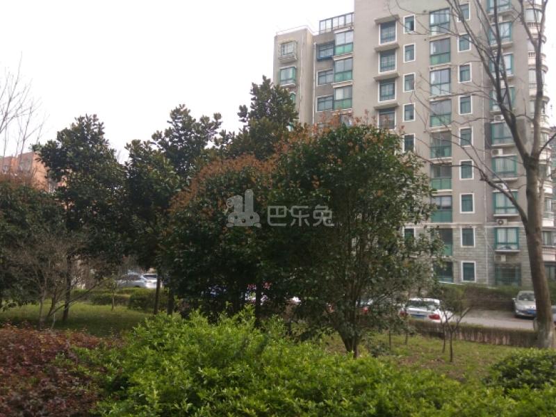 万临家园8489850周边环境图19