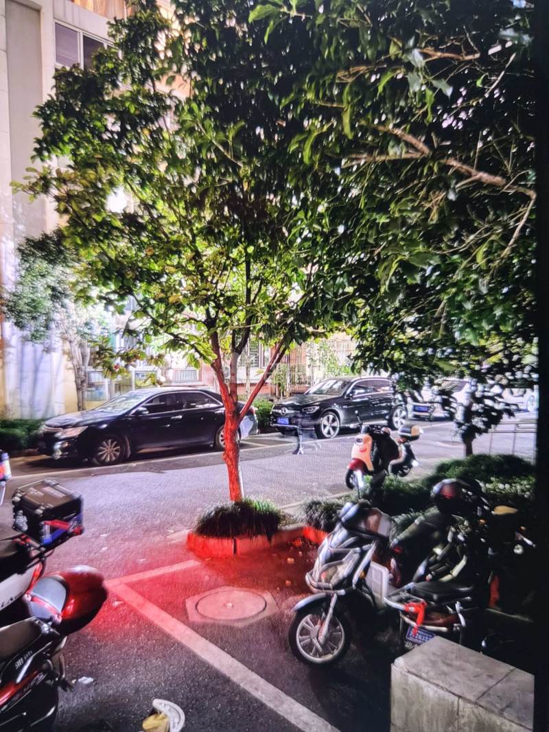 金鑫花园7747427周边环境图6