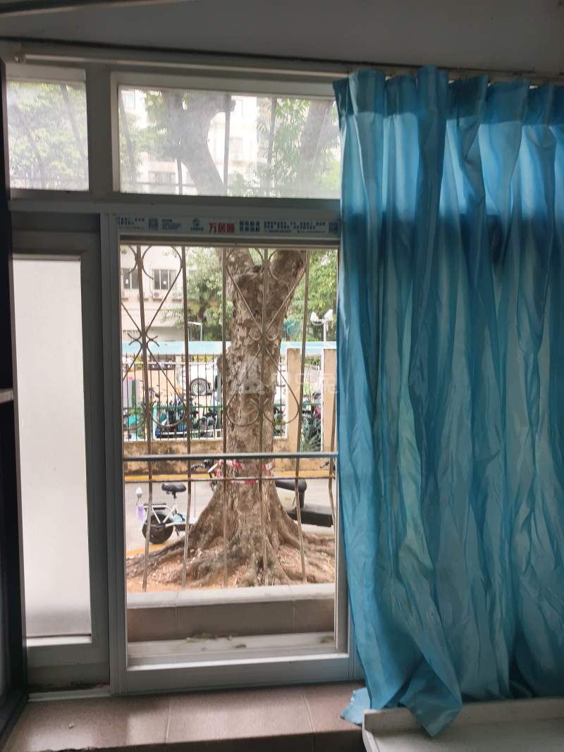 海湾花园7852932卧室窗户图10